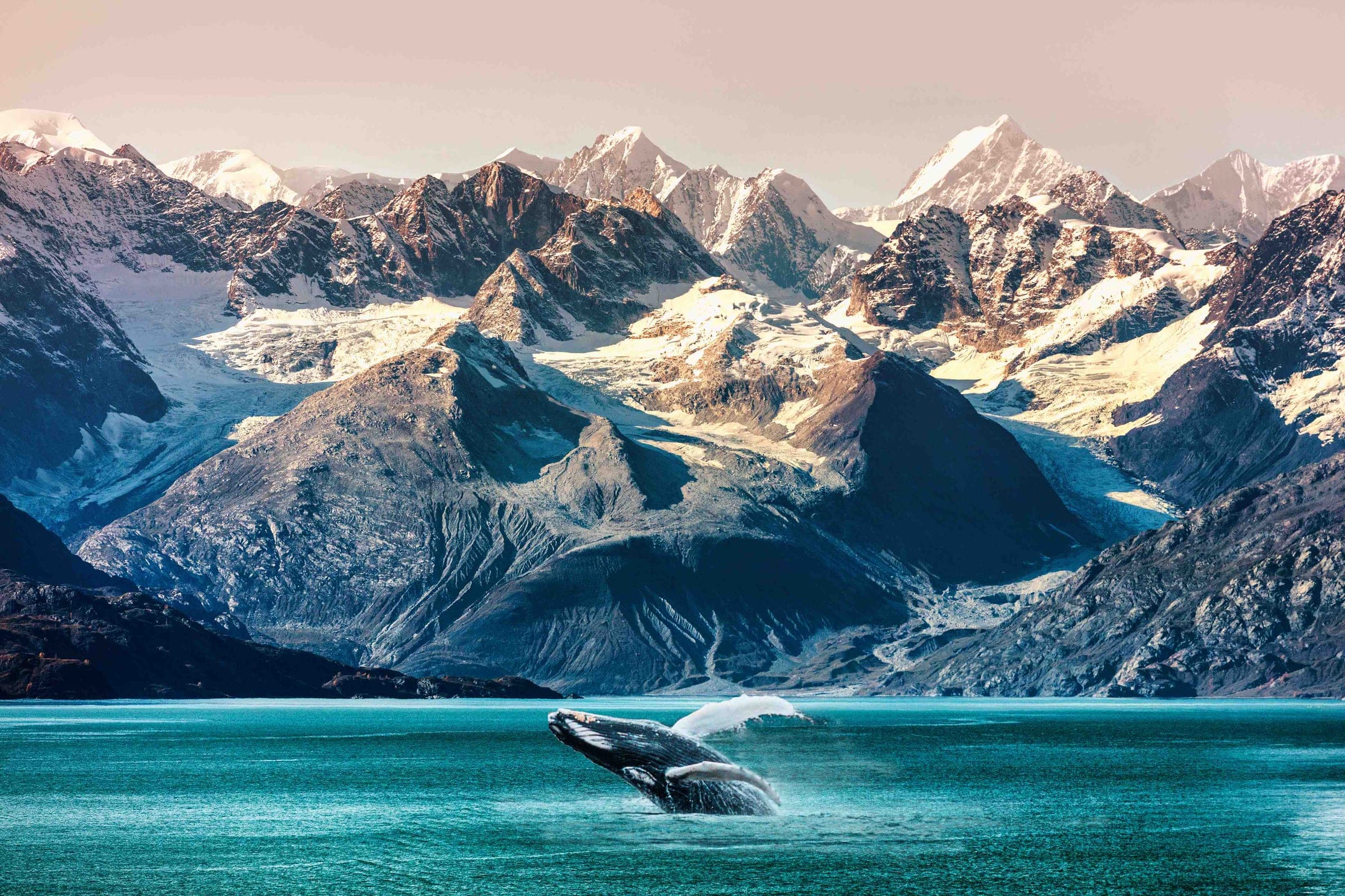 Norwegische Fjorde