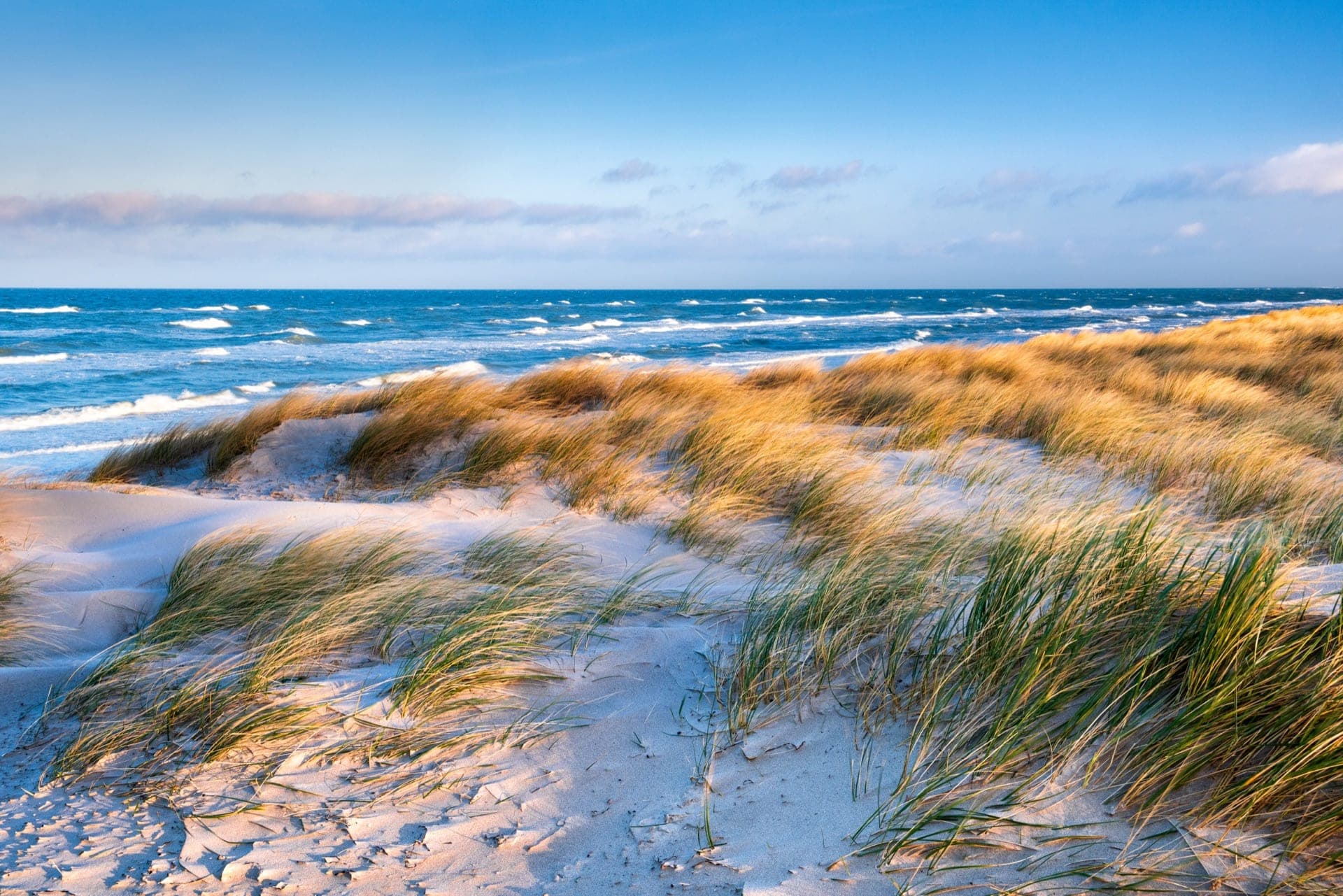 Northern Europe & Baltic